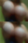 Mature pussy Kingwood