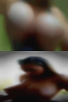 Reading, horny girls number